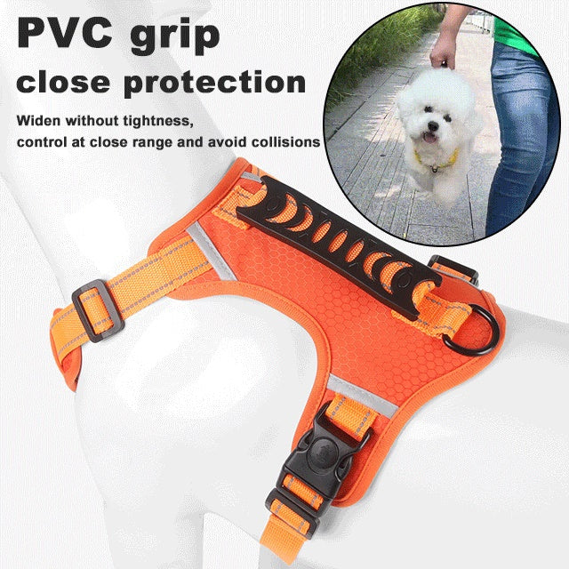 🔥Hot sale-50% Off🔥🐕Price - Pet Leash Free!