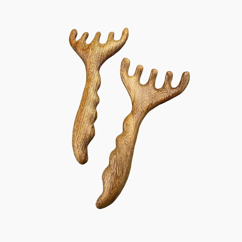✨️2025 Hot Sale✨️Wooden Head Massager Comb & Gua Sha Tool