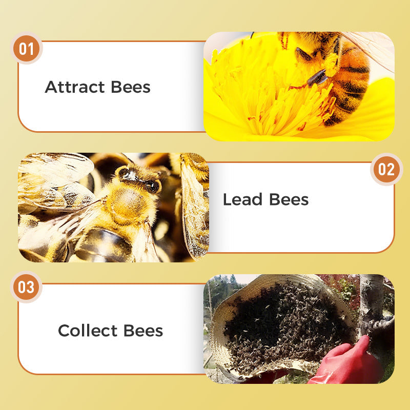 250ml Hive Farming Special Bee Attractant Liquid