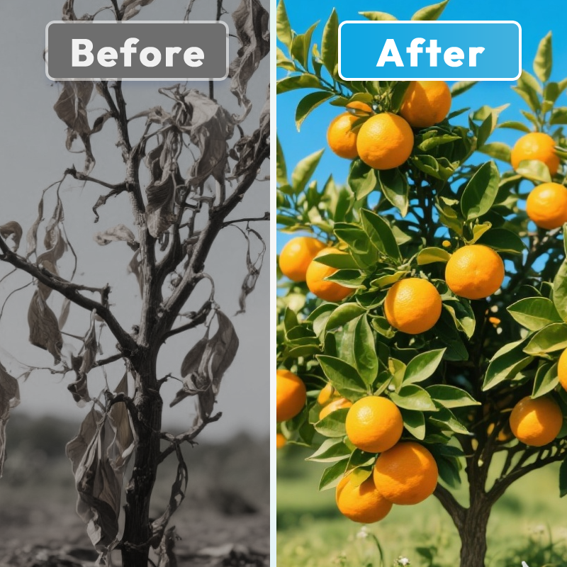 Fruit and Vegetable Sunscreen Fertilizer Solution