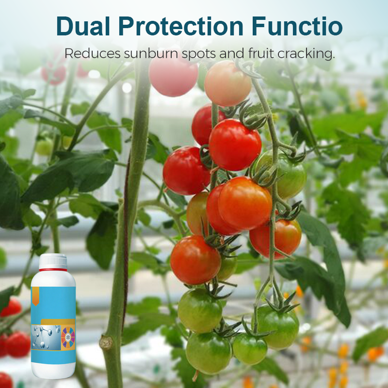 Fruit and Vegetable Sunscreen Fertilizer Solution
