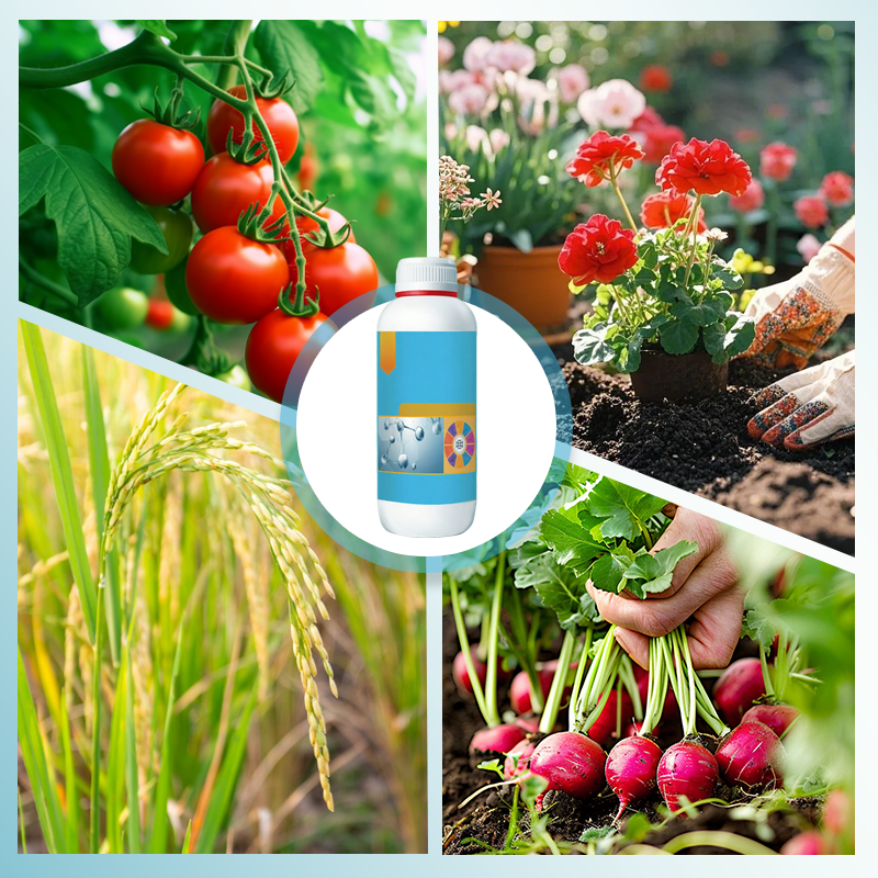 Fruit and Vegetable Sunscreen Fertilizer Solution