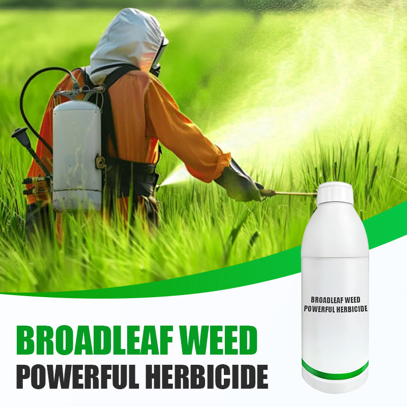 Broadleaf Weed Powerful Herbicide