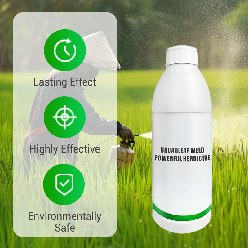 Broadleaf Weed Powerful Herbicide