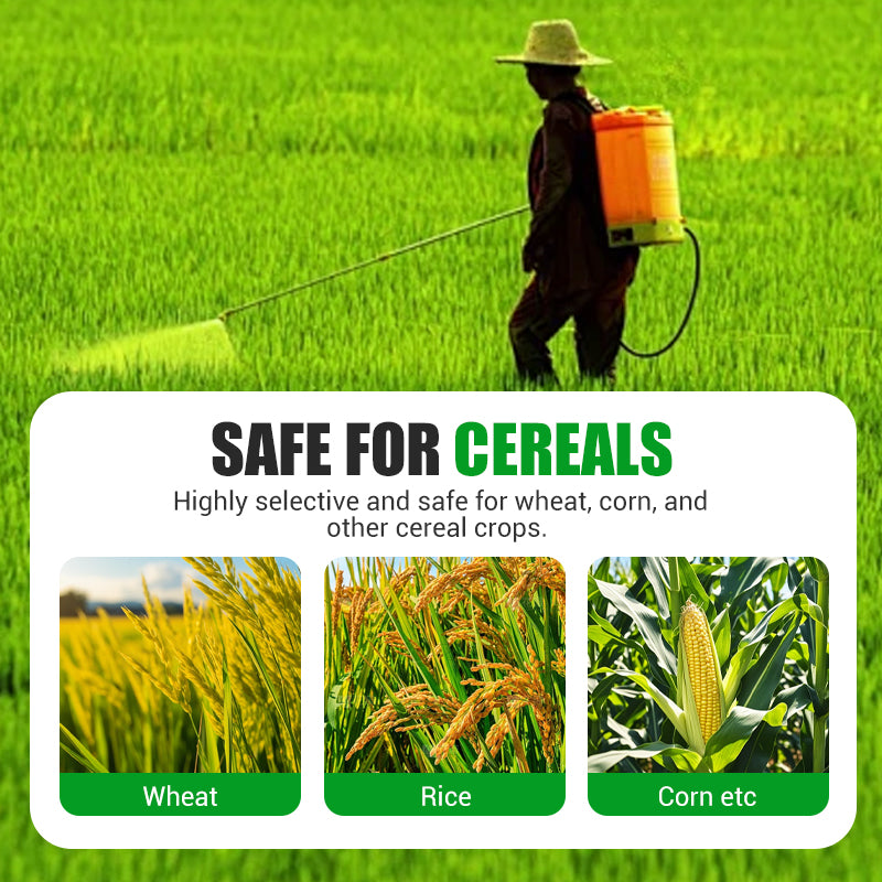 Broadleaf Weed Powerful Herbicide