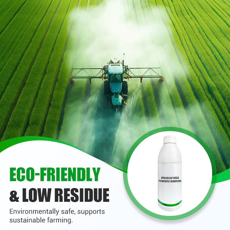 Broadleaf Weed Powerful Herbicide