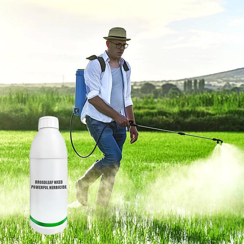 Broadleaf Weed Powerful Herbicide