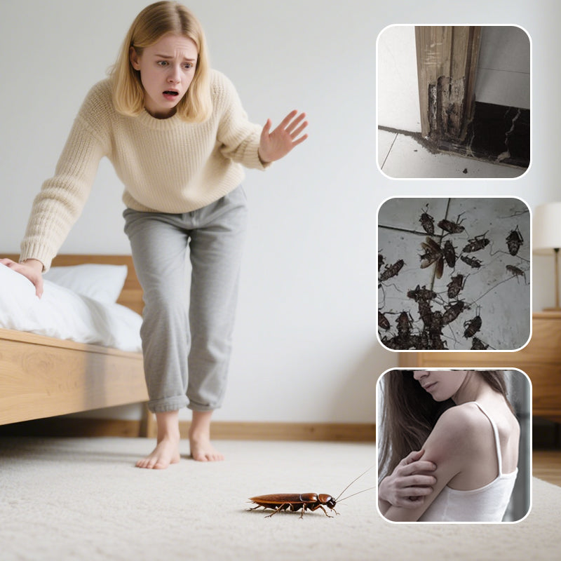 All-in-One Effective Low-Toxicity Insect Bait