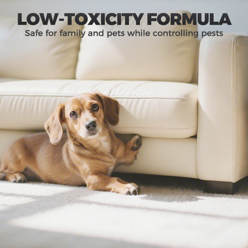 All-in-One Effective Low-Toxicity Insect Bait