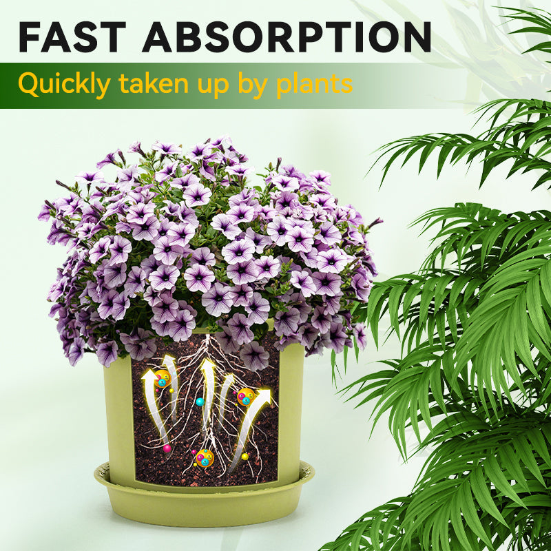 Horticultural General Nutrient Solution for Root