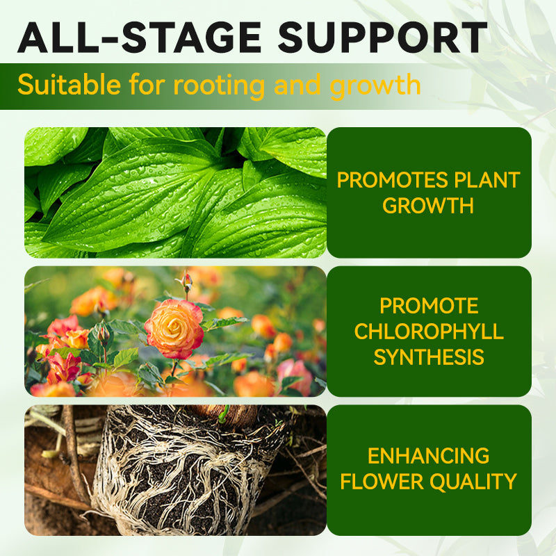 Horticultural General Nutrient Solution for Root