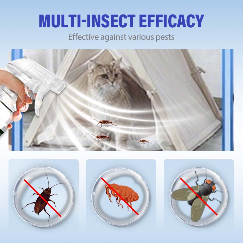 Long-Lasting Indoor & Outdoor Insecticide Spray for Roach