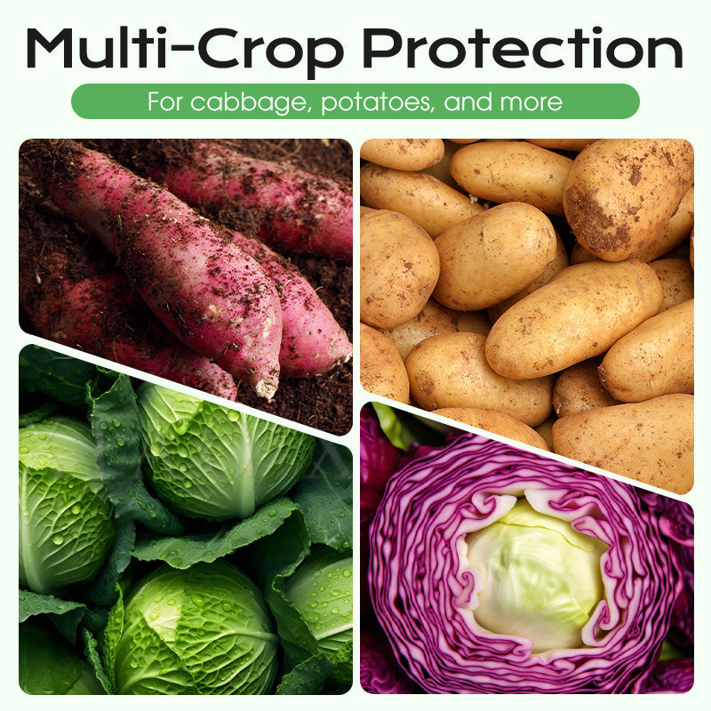 Granular Insecticide – For Underground Pests in Crops