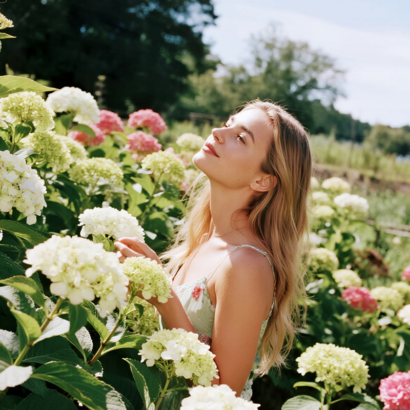 Mixed-Color Hydrangea Seeds