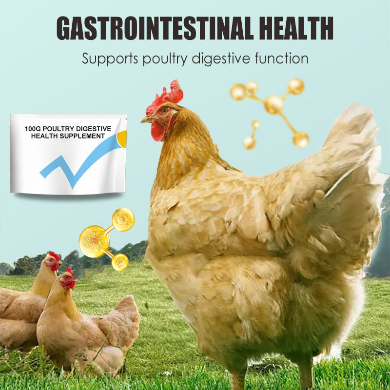 100g Poultry Digestive Health Supplement
