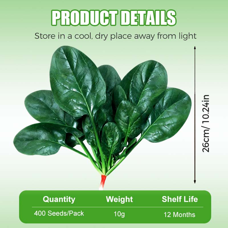 High-yielding Cold & Heat Tolerant Spinach Seeds