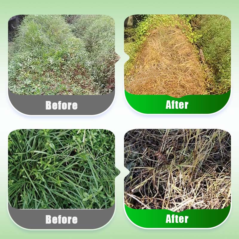 S-Metolachlor 96% Pre-Emergent Herbicide for Corn & Potatoes