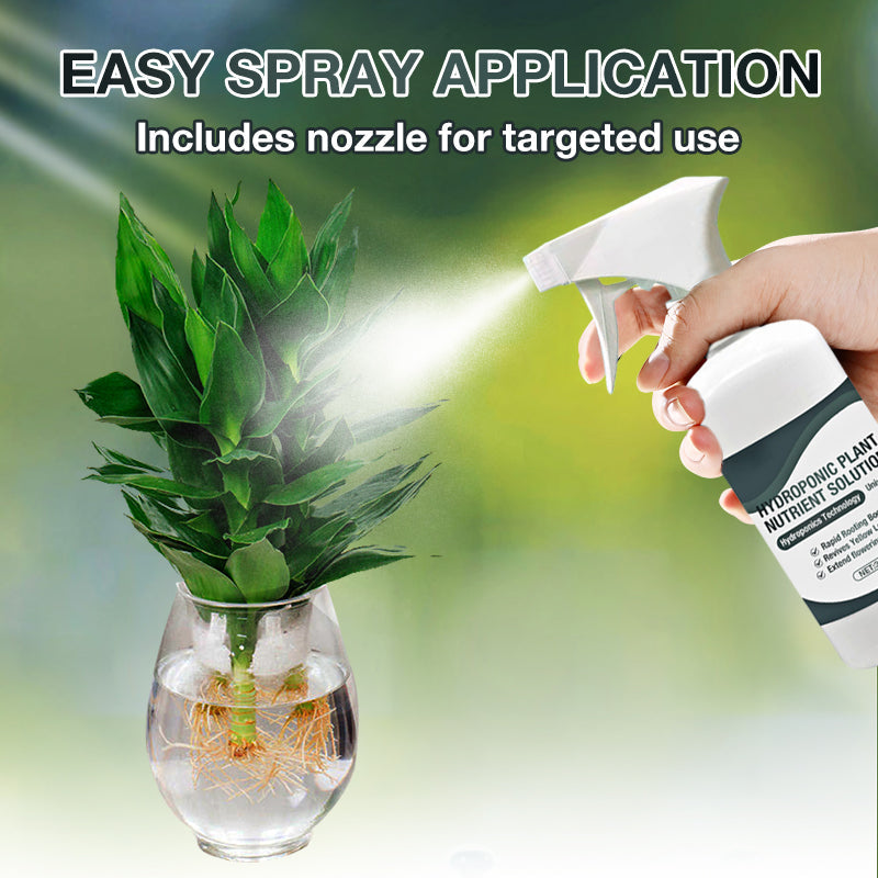 Hydroponic Plant Nutrient Solution