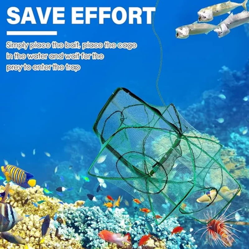 🚨 50% OFF! 🚨 Automatic folding net for anglers – reinforced nylon fishing net, landing net with telescopic handle 🎣✨