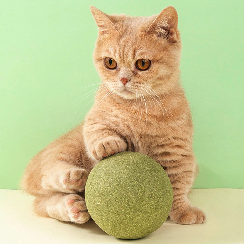 2026 Bestseller🎉50% OFF! Super Big Catnip Balls😻Make Cats Go Wild!
