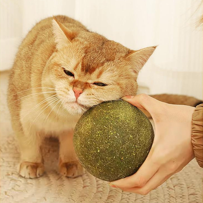 2026 Bestseller🎉50% OFF! Super Big Catnip Balls😻Make Cats Go Wild!