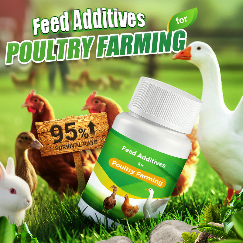 Feed Additives for Poultry Farming