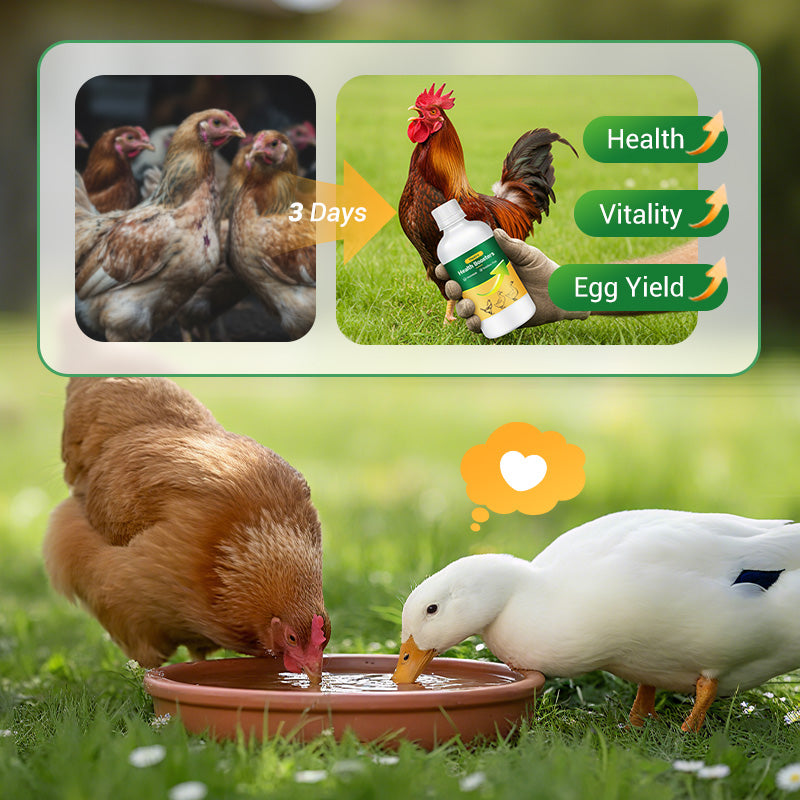 Multi-Symptom Oral Solution for Poultry