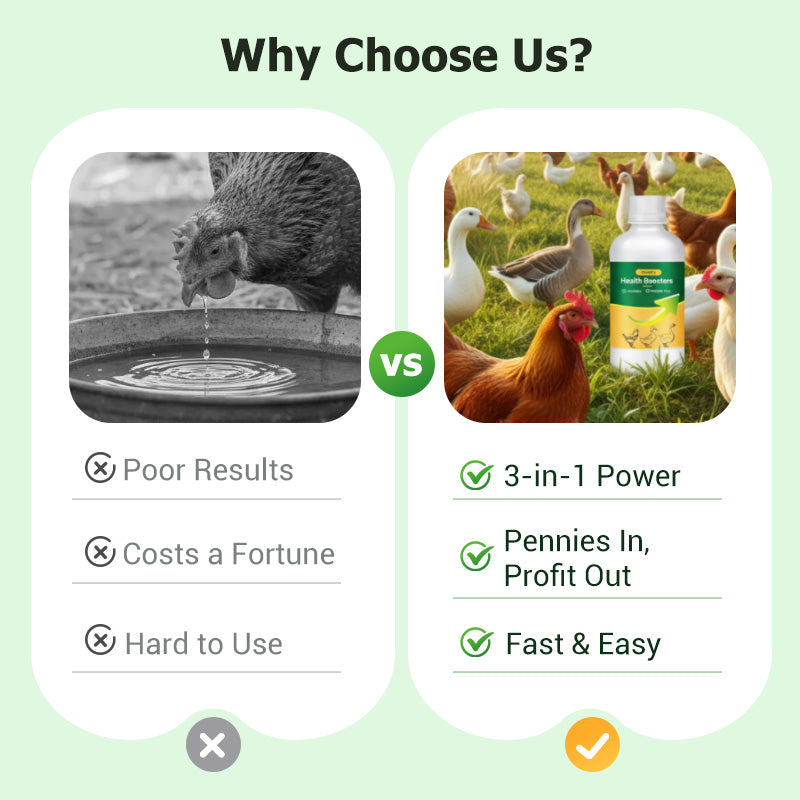 Multi-Symptom Oral Solution for Poultry