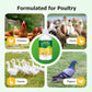 Multi-Symptom Oral Solution for Poultry