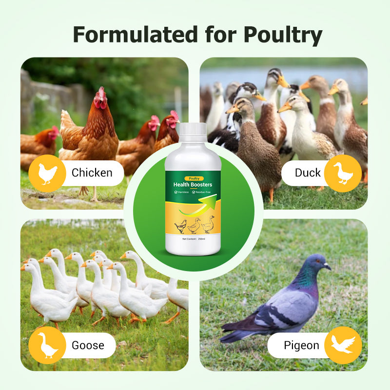 Multi-Symptom Oral Solution for Poultry