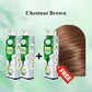 🌱Pure Plant Extract Bubble Hair Dye For Gray Hair