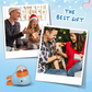 Dog Interactive Treat Dispenser Toy