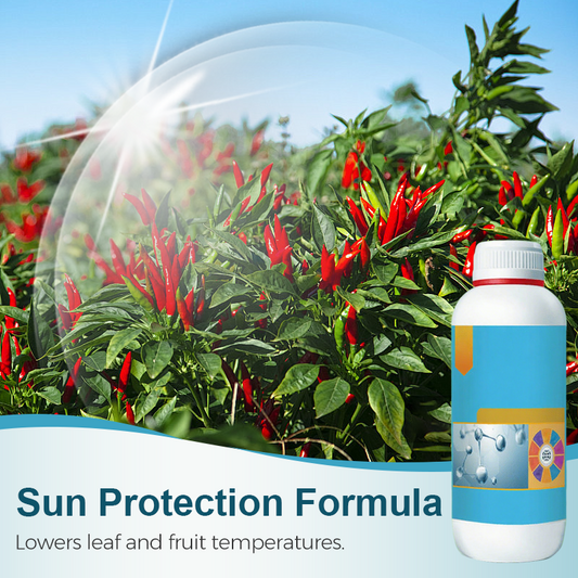 Fruit and Vegetable Sunscreen Fertilizer Solution