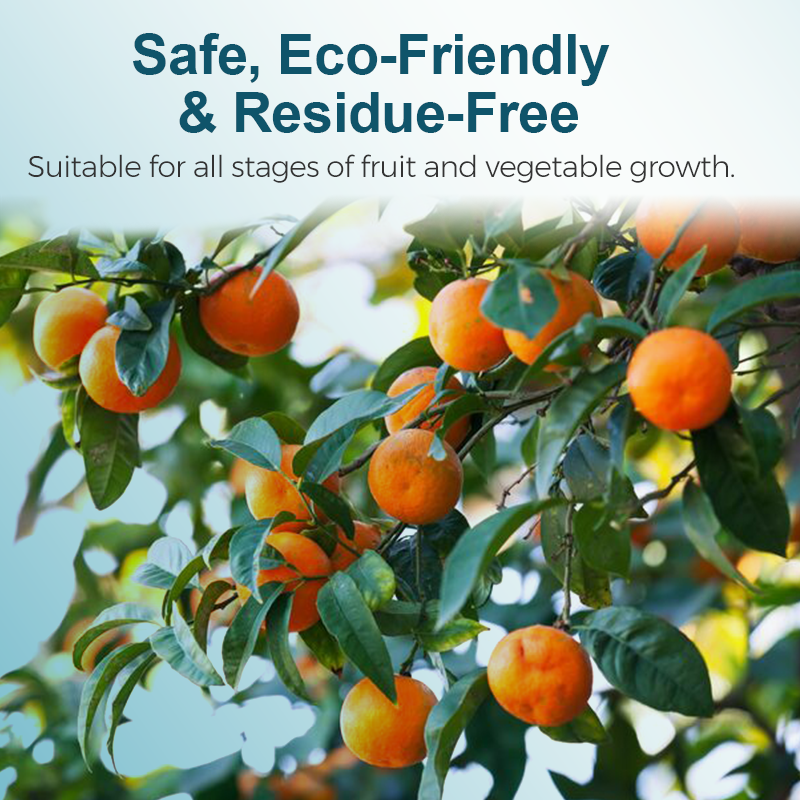 Fruit and Vegetable Sunscreen Fertilizer Solution