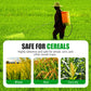 Broadleaf Weed Powerful Herbicide