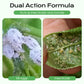 Concentrate Long-Lasting Scale Insect Control