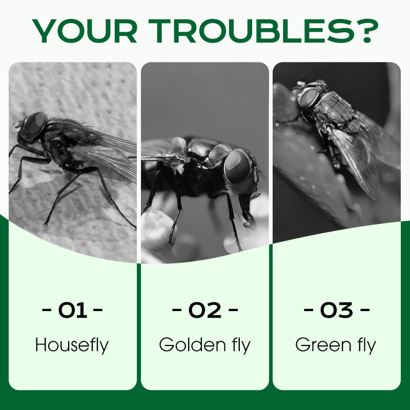 Multi-Scene Fast-Acting Fly Killer