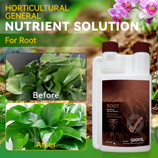 Horticultural General Nutrient Solution for Root