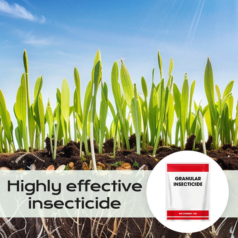 Granular Insecticide – For Underground Pests in Crops
