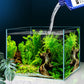Nitrifying Water Conditioner for Aquariums