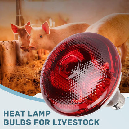Specialized Heat Lamp Bulbs for Livestock