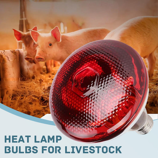 Specialized Heat Lamp Bulbs for Livestock