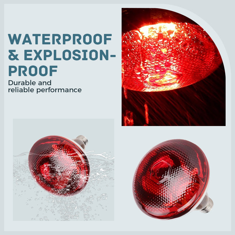 Specialized Heat Lamp Bulbs for Livestock