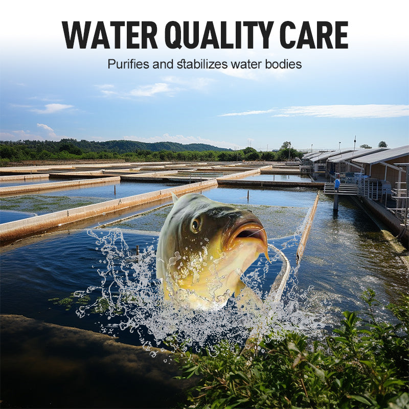 Highly Concentrated EM Bacterial Powder for Aquaculture
