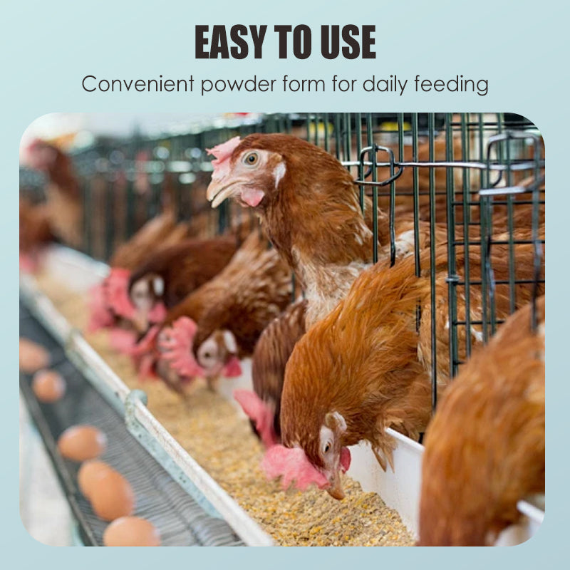 100g Poultry Digestive Health Supplement