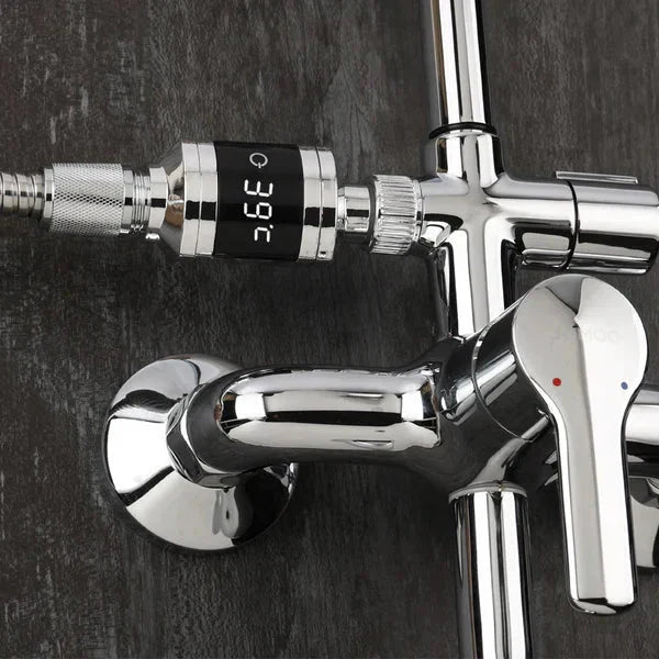 Shower Thermometer