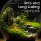Premium-Grade Moss Spore Powder
