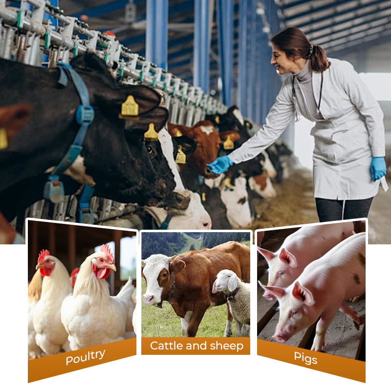 Disinfectant Powder for Livestock Farms