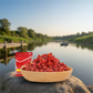 Strong Scent Hook Bait Pellets for Fishing