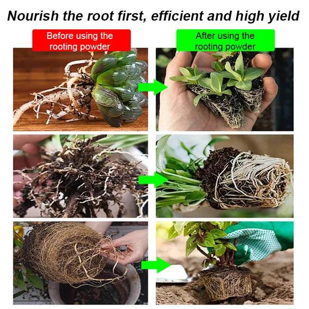 Strong Rooting Powder Microbial Fertilizer